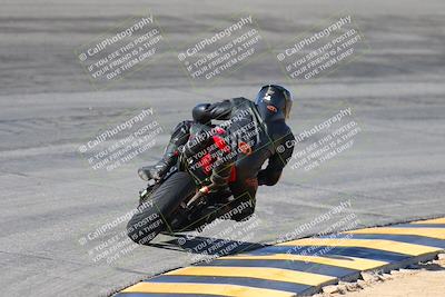 media/Feb-04-2024-SoCal Trackdays (Sun) [[91d6515b1d]]/4-Bowl Backside (11am)/